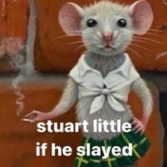 Meet your Posher, Hayle - Picture 3 of 3